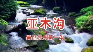 国泰君安副董事长、总裁王松退休离任